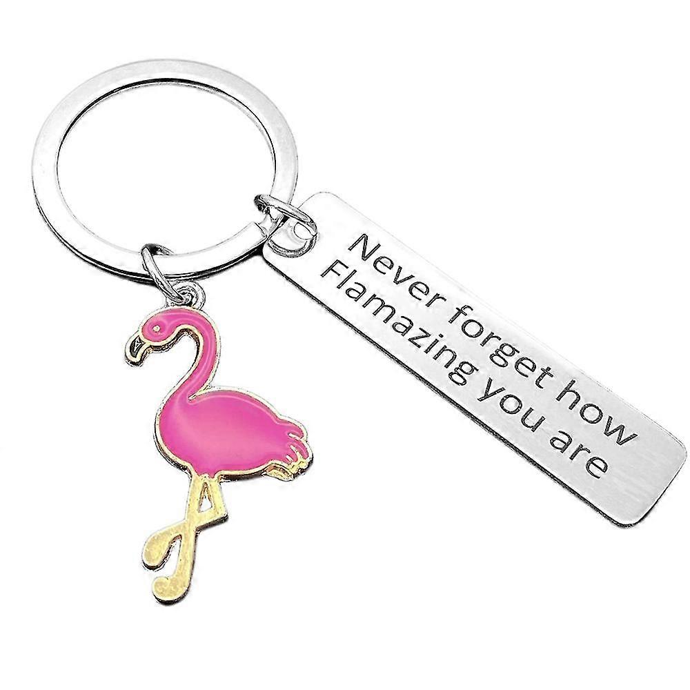Flamingo Keychain Never Forget How Flamazing You Are Keychain Gift