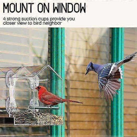 Window Bird Feeder, Outdoor Bird Feeder for Wild Birds