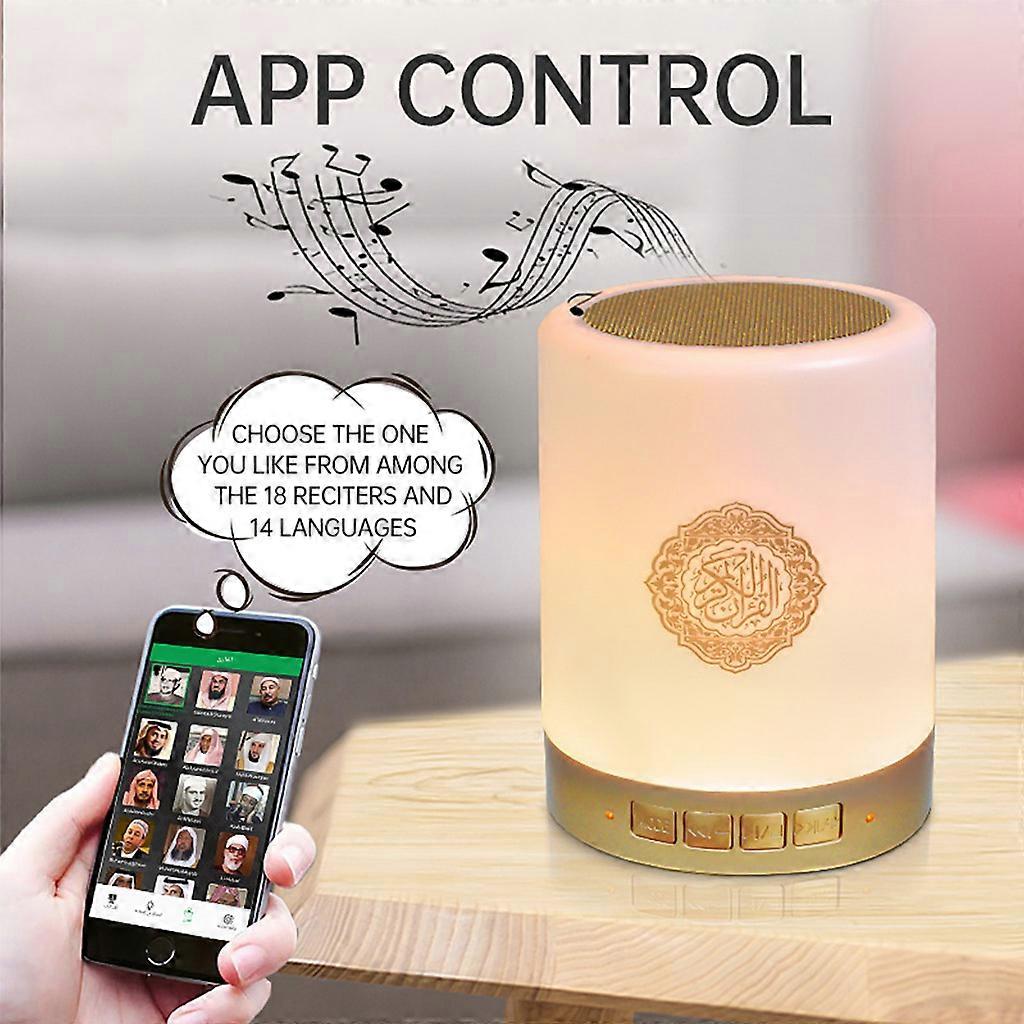 Wireless Remote LED Speakers