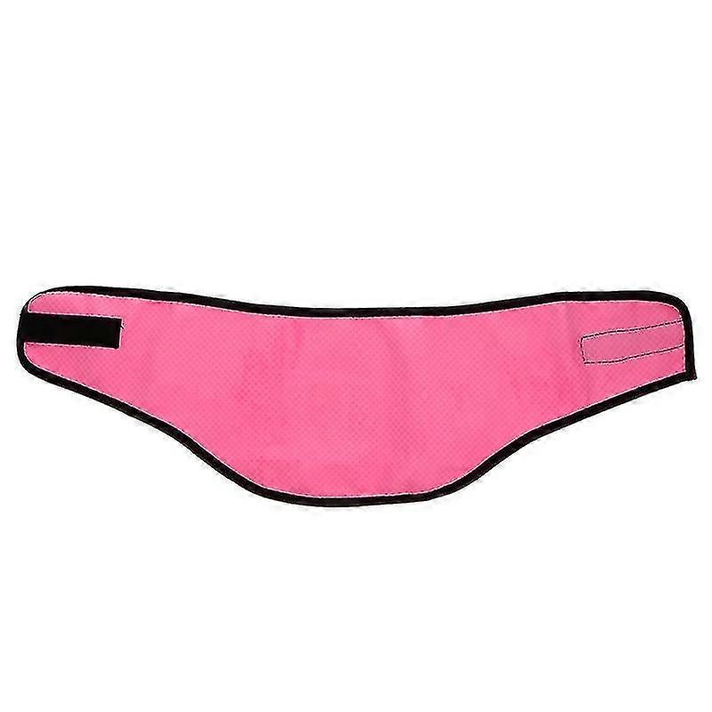 1pcs Pet Cooling Collar