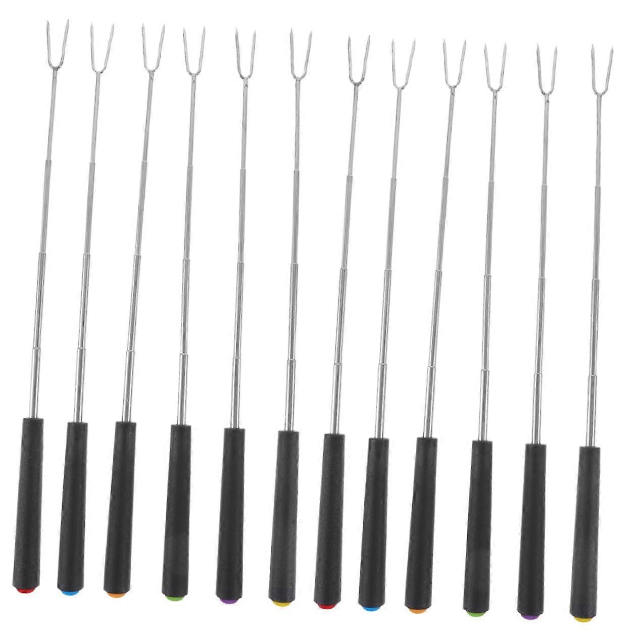 12-Piece Barbecue Fork Set for Camping and Grill, Hot Dog Sticks, Fondue Forks, Fire Pit Accessories