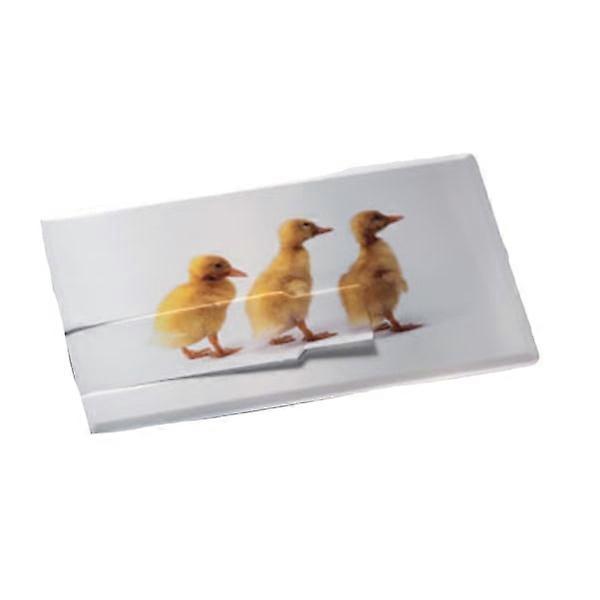 MidOcean Memorama 4GB Memory Stick One Size White