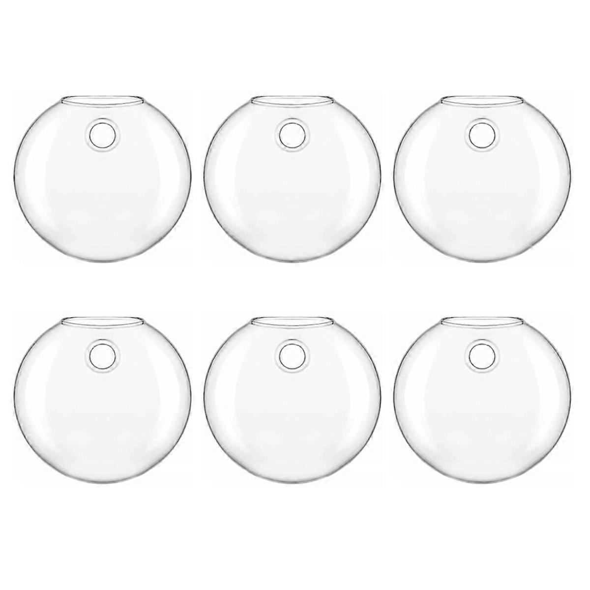 Vase
Hydroponic Glass Vase