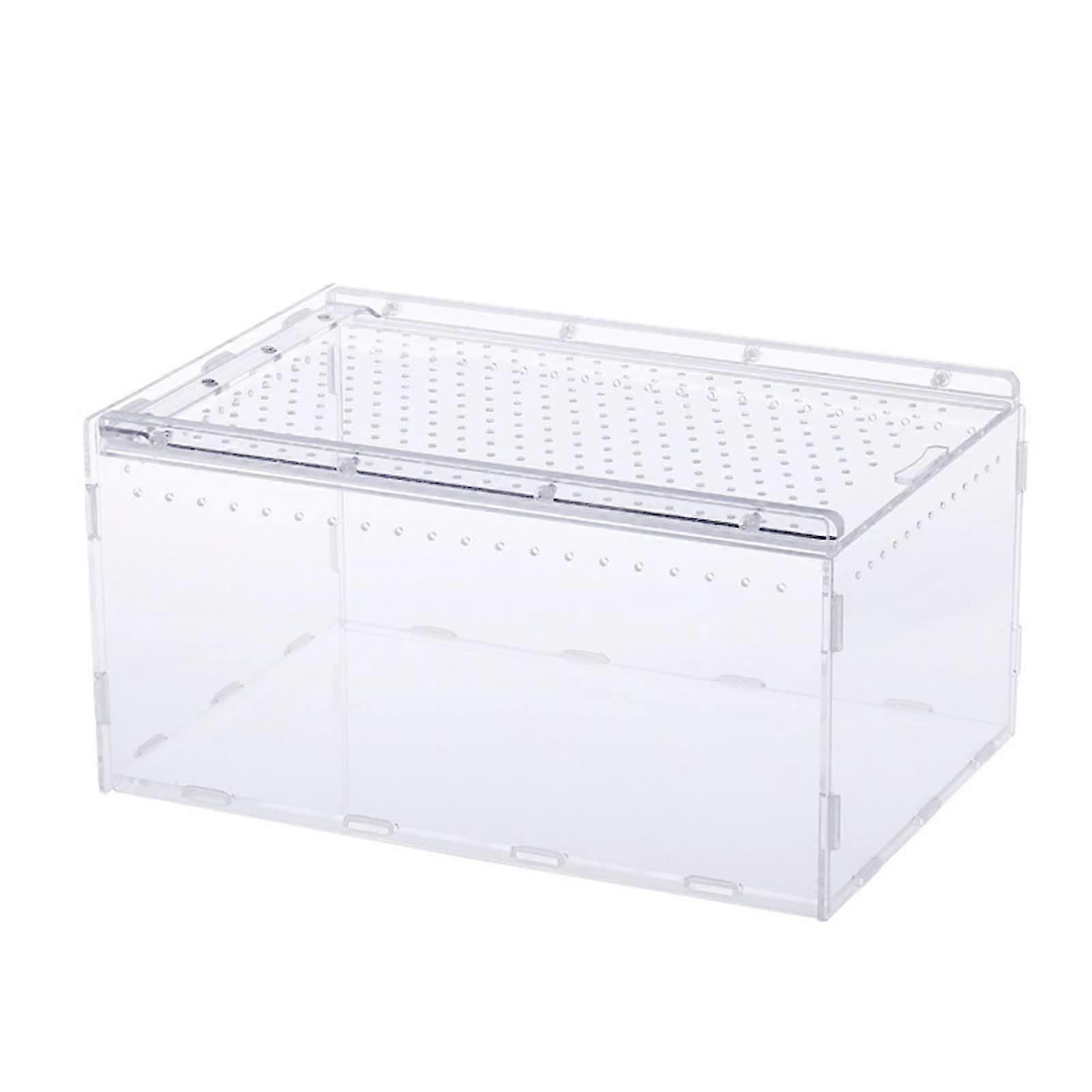 Clear Feeding Box Hatching Container With Lid For Spiders Supplies Transparent Feeding Box Reptile Tanks