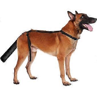 Hunde Haler Heal Sleeve - Bandageret Hundehale, Ingen Chew Hund Hale Sårbeskytter |