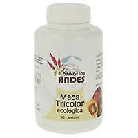 Tricolor Maca 90 capsules