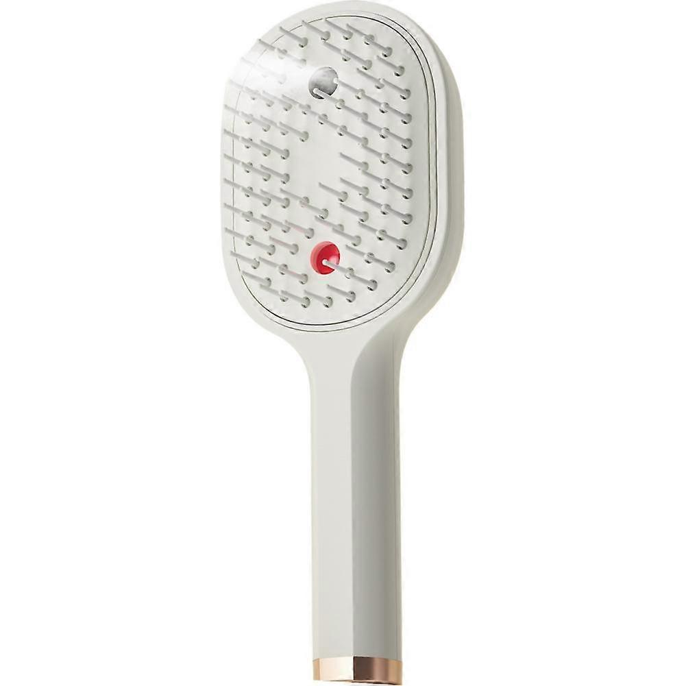Electric Misting Massage Brush