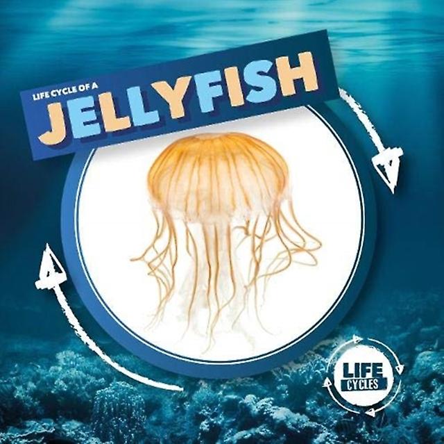 Jellyfish - Life Cycle Of A - Kirsty Holmes - Educational: Sciences, general science BookLife Publishing (Hardback)