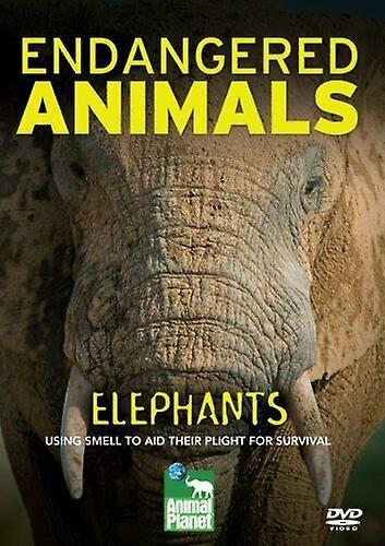 Elephants Endangered Species [DVD] DVD - Region 2