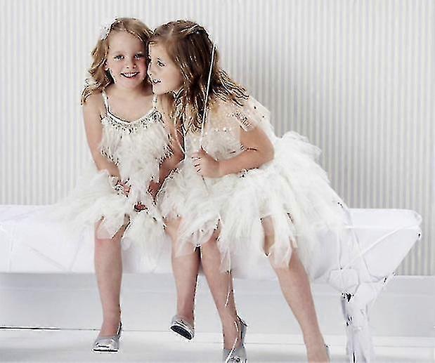 High-end Baby Dress Girl Princess Swan Feather Tutu Skirt