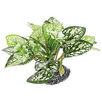 Terrarium Landskapsarkitektur Vann Plant Ornament Fish Tank Fake Plant Dekorasjon Naturtro Undervanns Plant