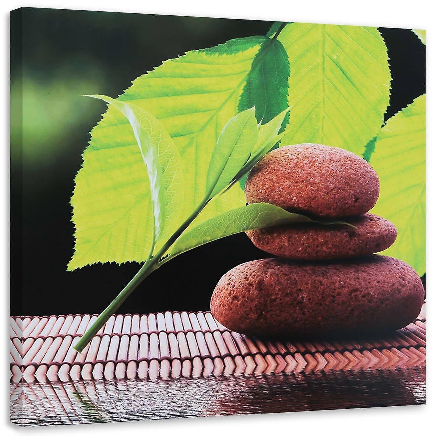 Obraz na plátne, listy a kamene orecha - 30x30