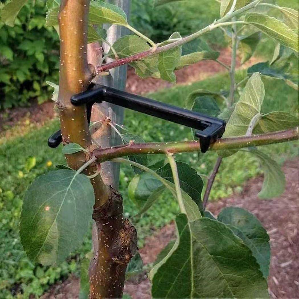 20 Piece Tree Branch Spreader for Enhanced Plant Growth, Durable Material, Easy to Use