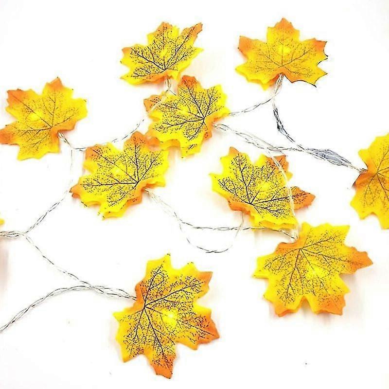 Feuillage d’érable en automne