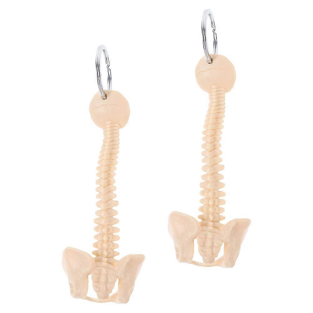 Spine Keychain Human Spine Model for Decoration 2Pcs Realistic Medical Display