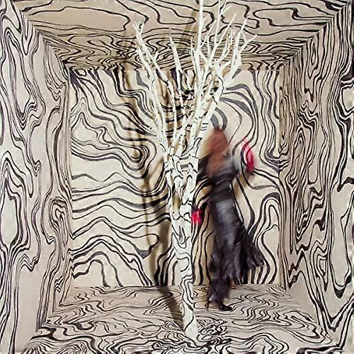 Cunningham,madison - Revealer  [VINYL]