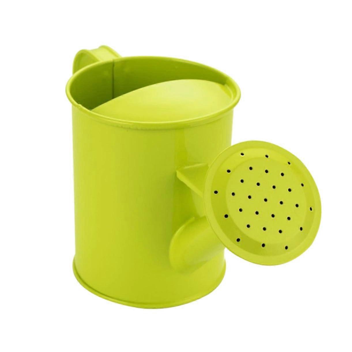 Large Watering Can for Garden Use Ergonomic Handle for Succulents and Bonsai for Kids