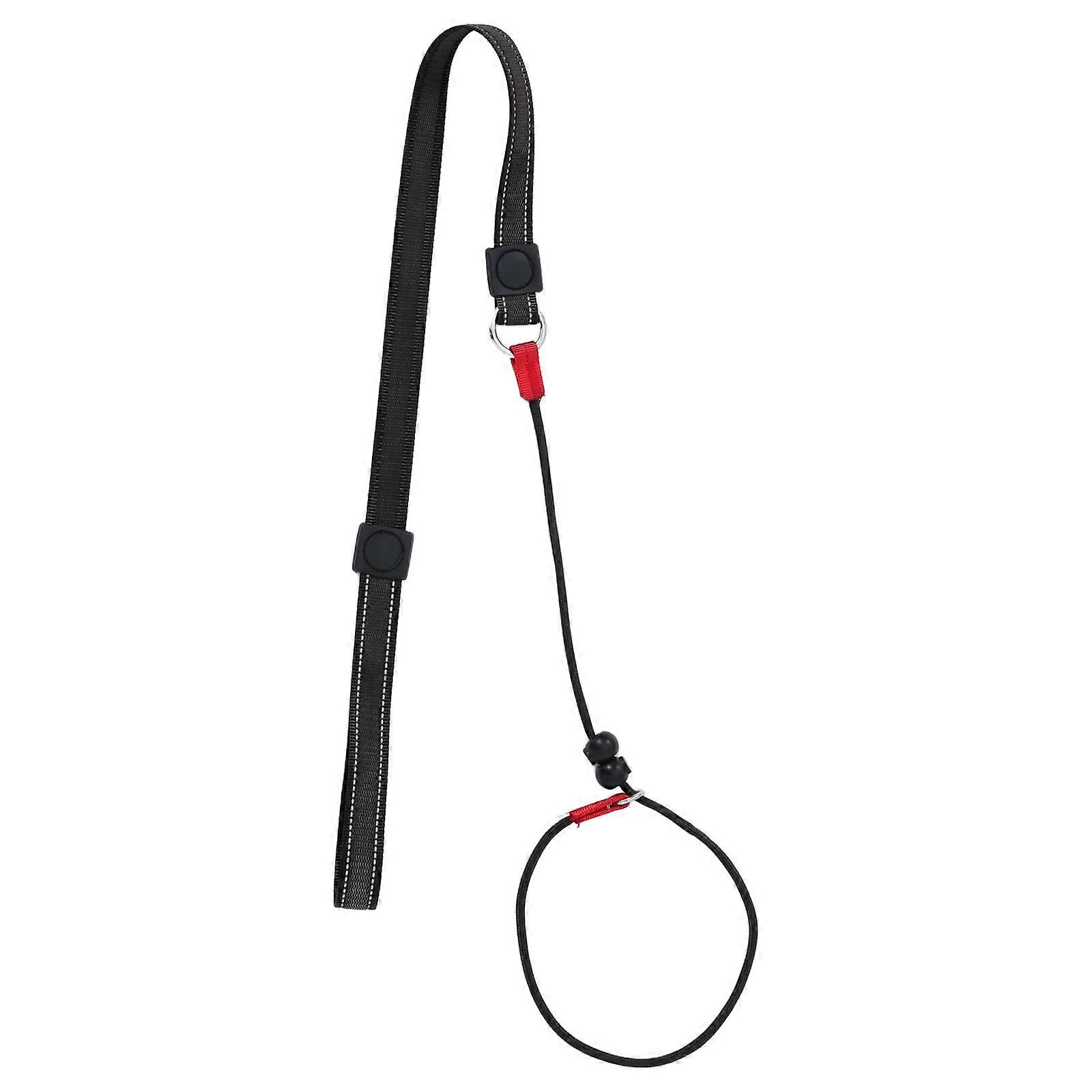Anti Pull Dog Leash for Training with Comfortable Control Rope