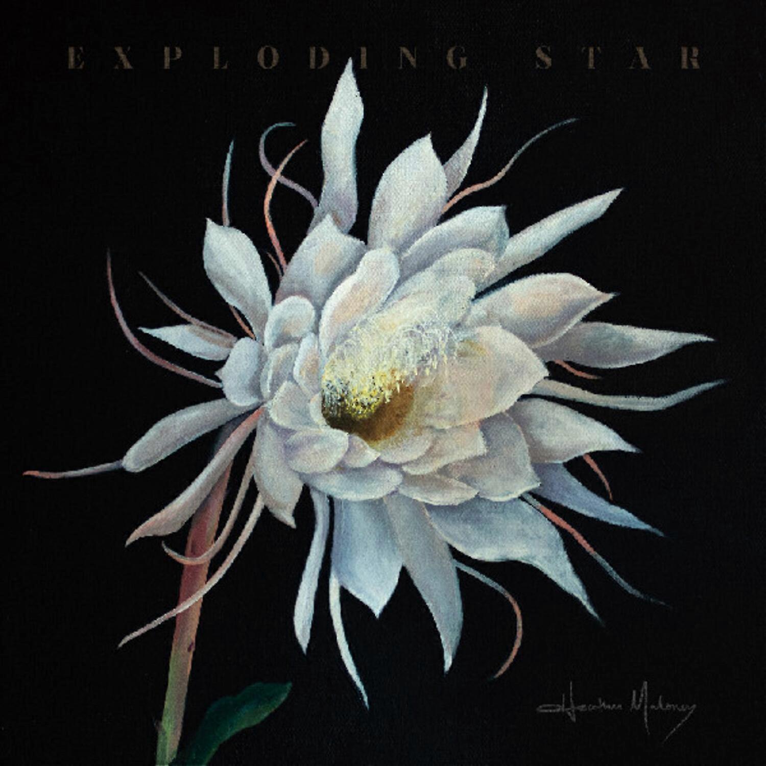 Heather Maloney - Exploding Star  [COMPACT DISCS] USA import