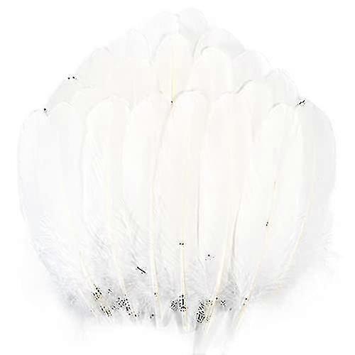 200ks Husí peří Nagoire Tw_Feb