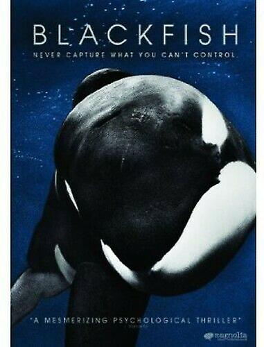 Blackfish [DVD] [2013] [Region 1] [US Im DVD