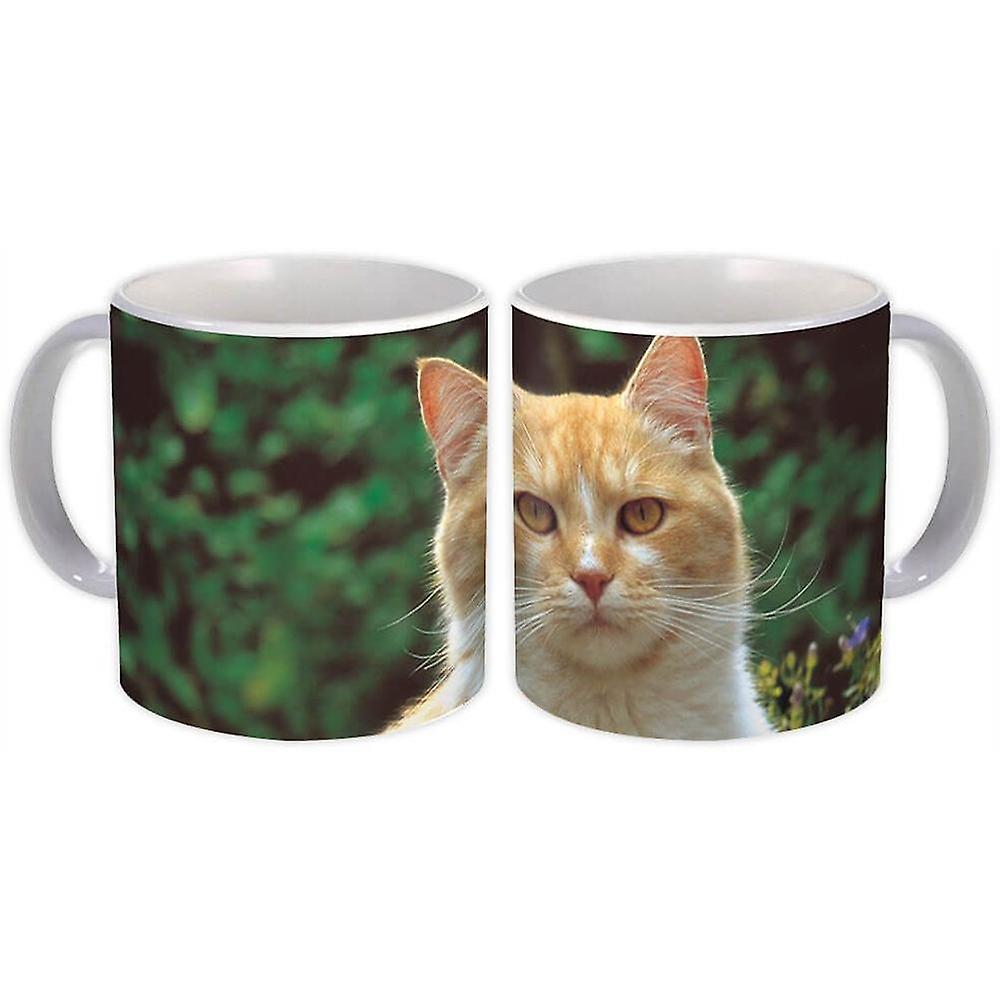 Gift Mug: Cat Animal