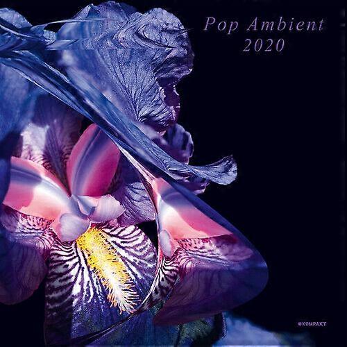 Various Artists Pop Ambient 2020 CD (2019) NEW