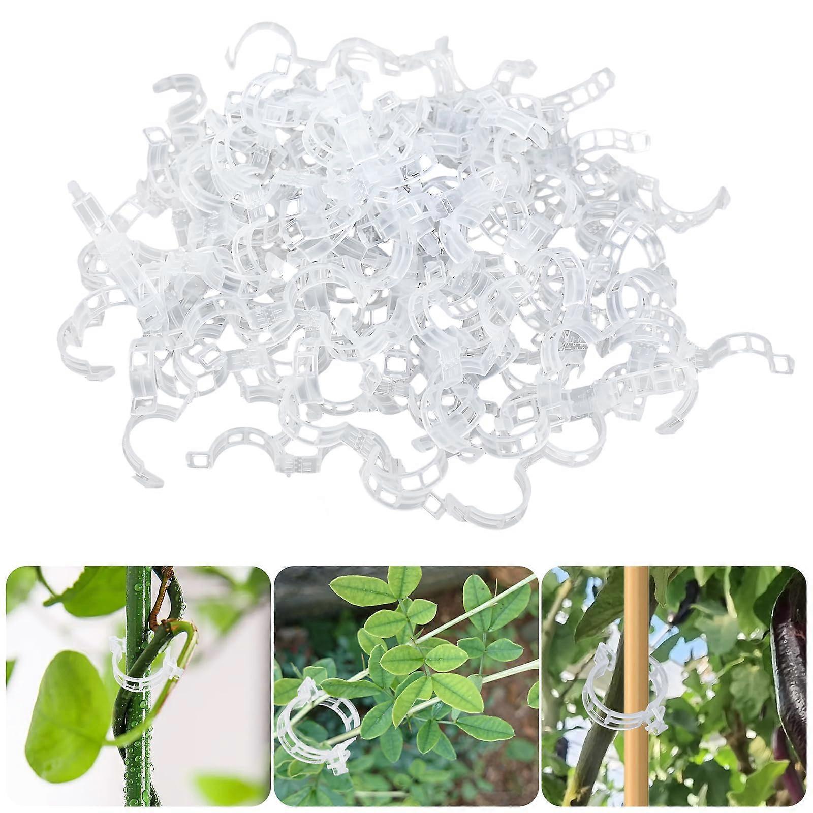 200 Fixed Plastic Plant Clips for Climbing Plants, Garden Support for Tomatoes and Grapes, Durable and Lightweight