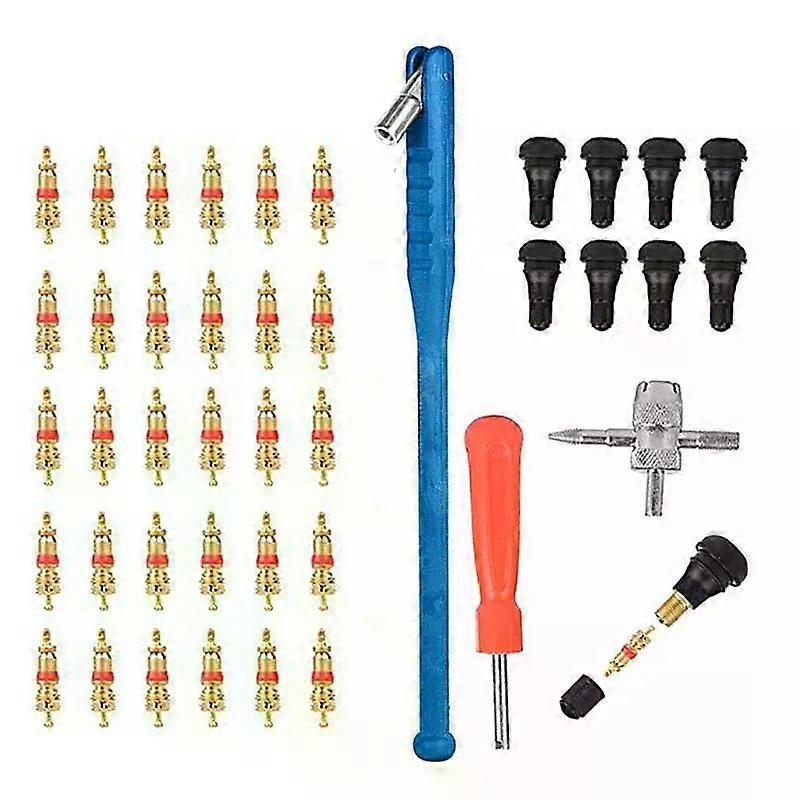 43Pcs Valve Installation Tool Set Kit Tire Valve Stem Tool Puller And Installation Set
