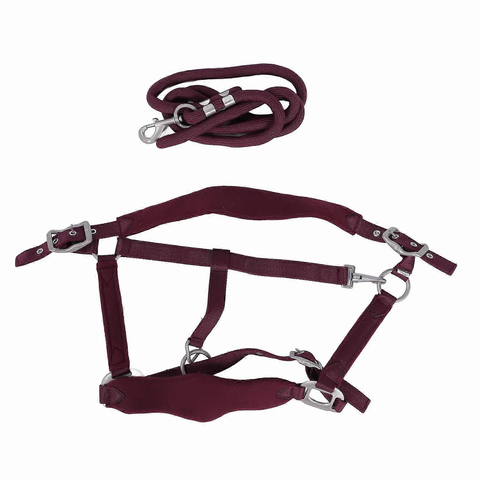 Horse Halter Set Prevent Rubbing Adjustable Horse Training Halter with 2m Horse Leash for Training Daily Wine Red M