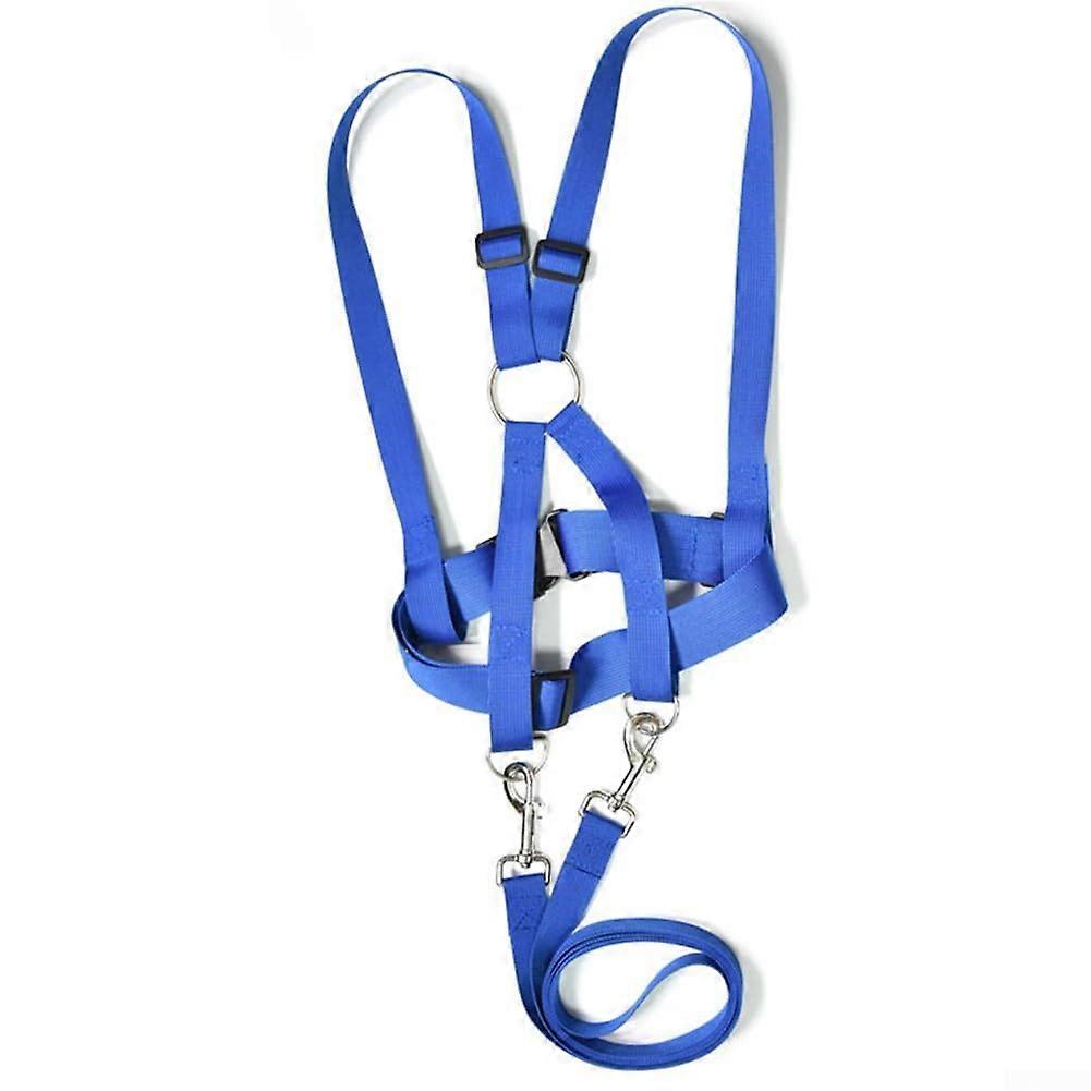 Kids Horse Riding Set for Outdoor Play, Adjustable Size, Durable Material, Promotes Healthy Active Lifestyle