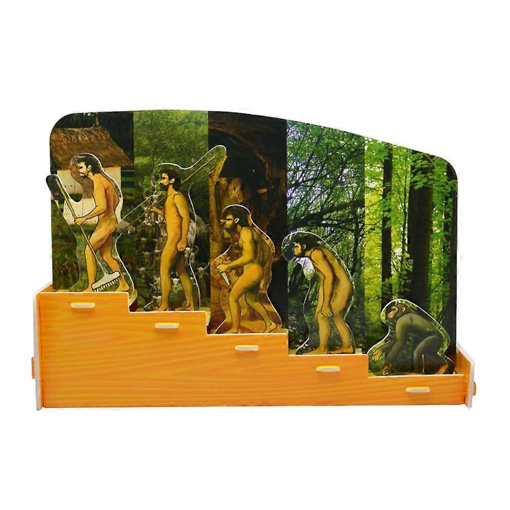 1 Set Human Evolution DIY Jigsaw Educational Toy for Creative Teaching, Enhancing Hand Eye Coordination & Analytical Skills for Home and Classroom Use