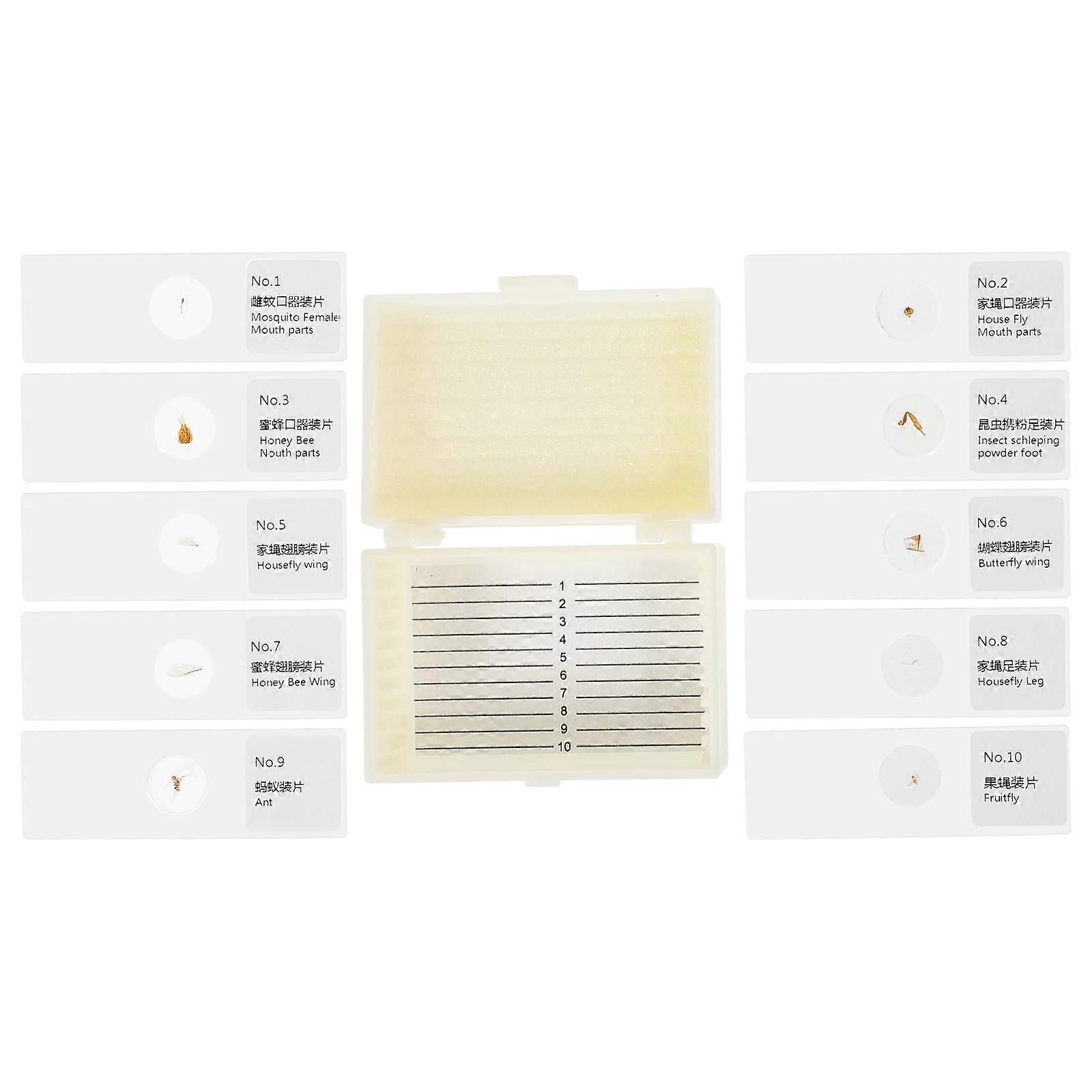 Prepared Microscope Slides with Specimens for Kids Science Classroom 10Pcs