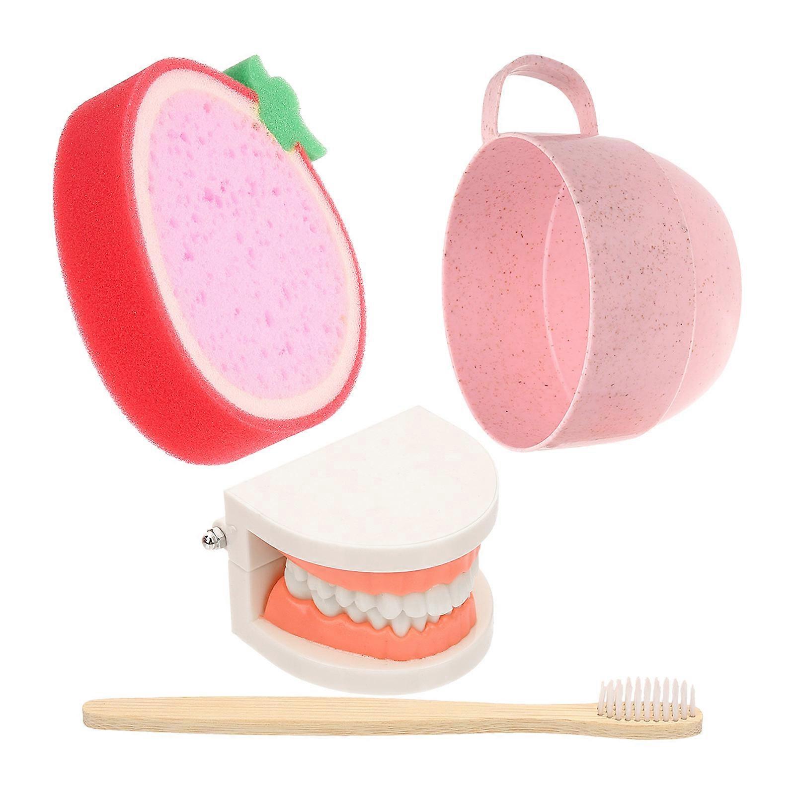 Brush Teaching Model for Children with 1Set Care Educational Tool