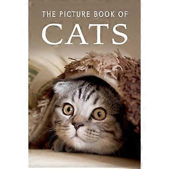 Das Bilderbuch der Katzen: Ein Geschenkbuch für Alzheimer-Patienten und Senioren mit Demenz (Bilderbücher - Tiere)