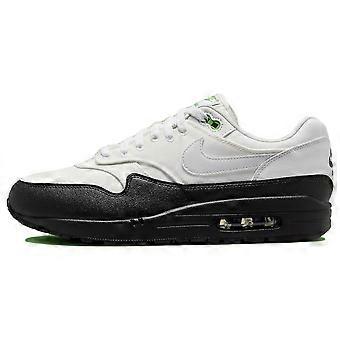 Nike Air Max 1 "Chlorophyll" FZ5160-121