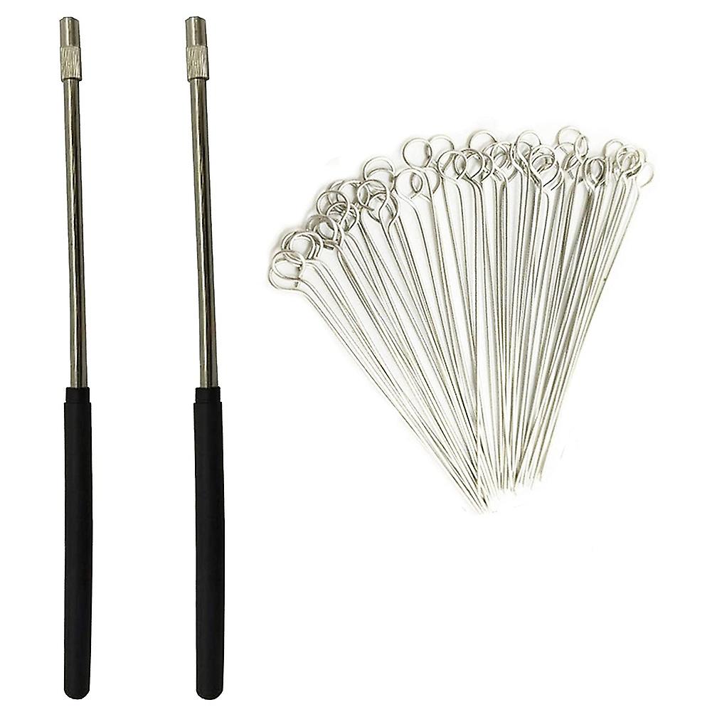 2PCS Reusable Inoculating Loop Holders with 50Pcs 10UL Nichrome Needle Tips Inoculation Loop for La