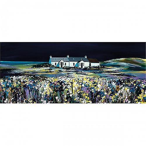Avril Thomson Smith Moonlight Shimmer Paper Print