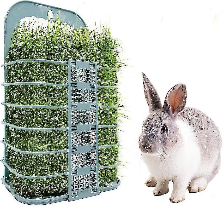 Foldable Chicken Feeder. Chicken And Vegetable Basket. For Age Vegetable Holder Gift