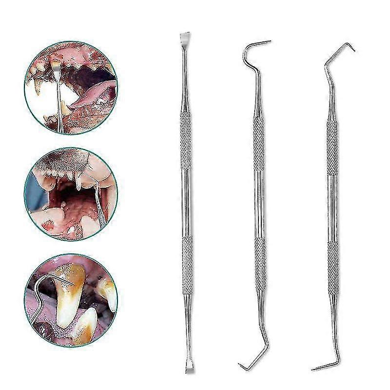 Dental Tool Set Pet Oral Cleaning Eliminator Probe Pointer