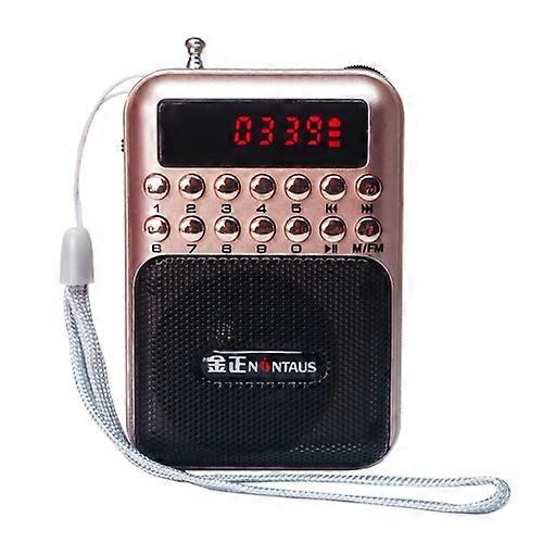 Portable Rechargeable FM Radio Receiver Speaker