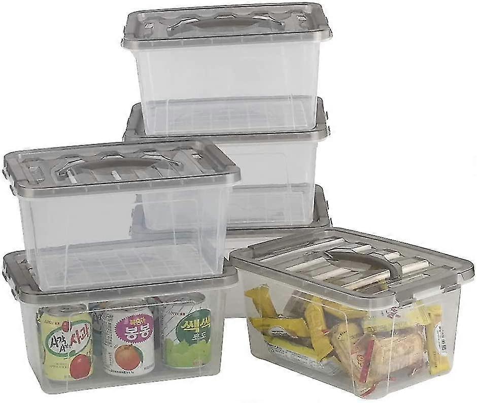 6pcs Clear Plastic Storage Boxes with Lid Small