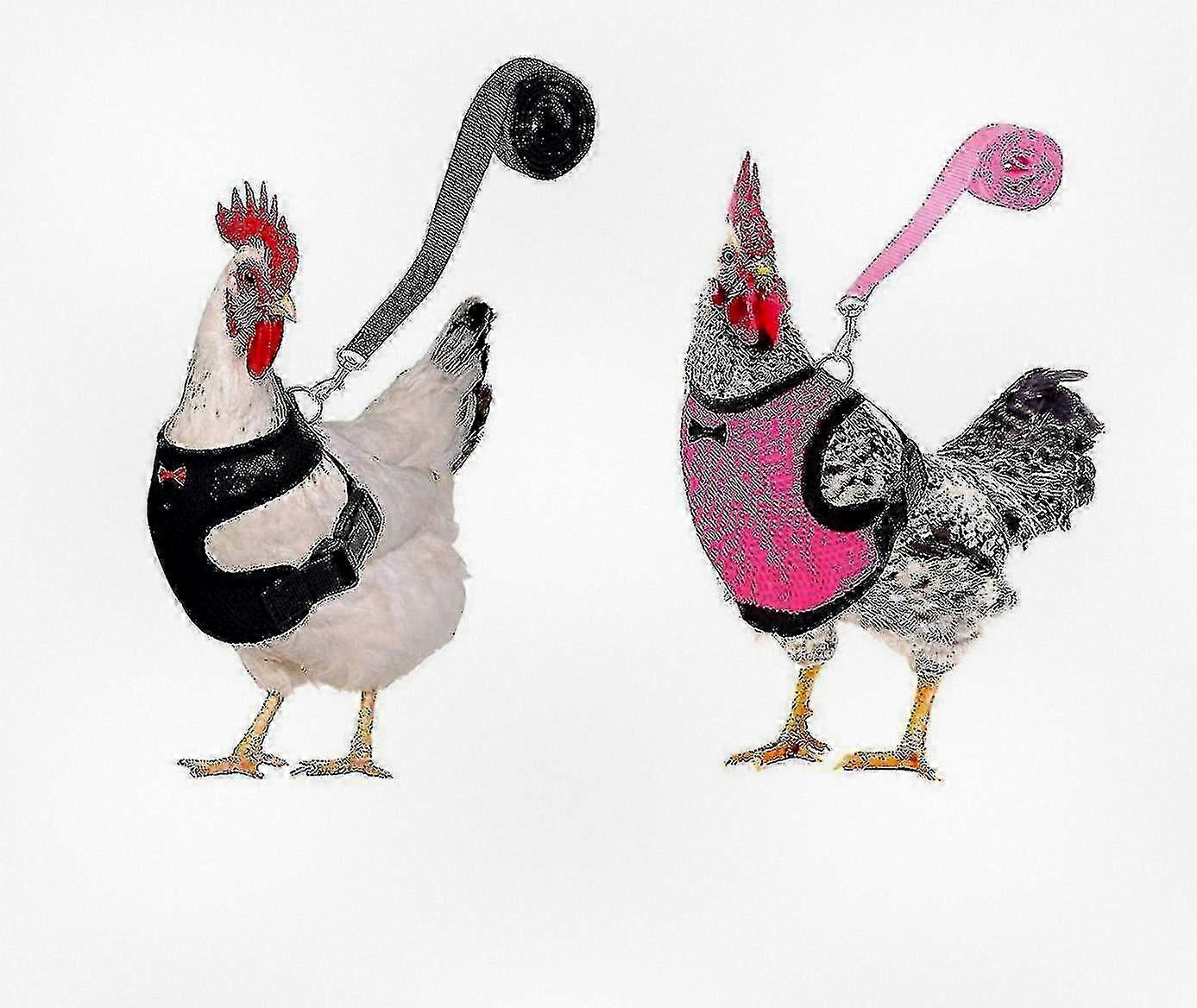 2pcs Adjustable Breathable Harness and Leash, Designed for Poultry Training and Walking, Ideal for Chickens, Ducks, and Geese, Comfortable and Reliabl