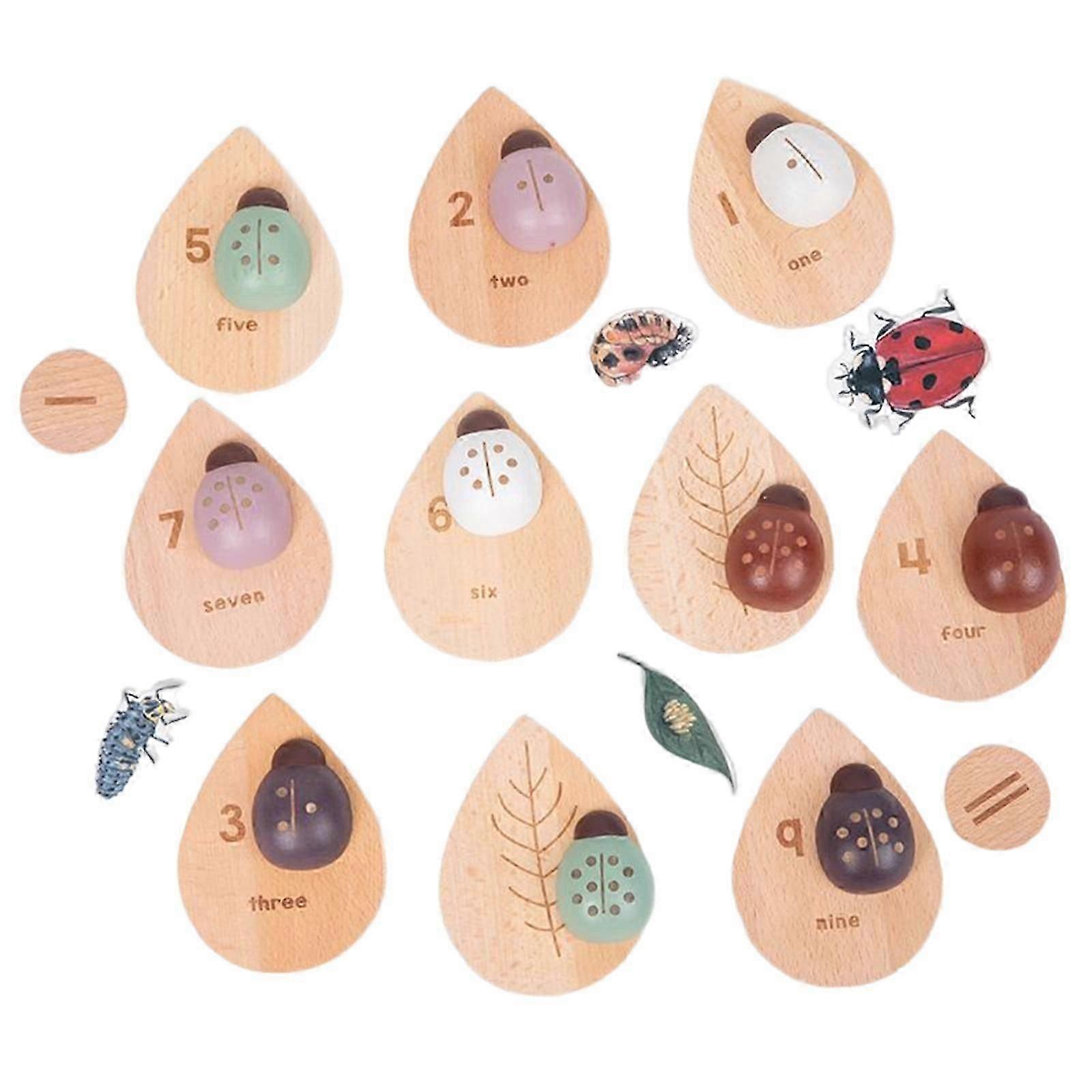 Preschool Math Games Ladybugs Number Matching for Kindergarten Digital Board