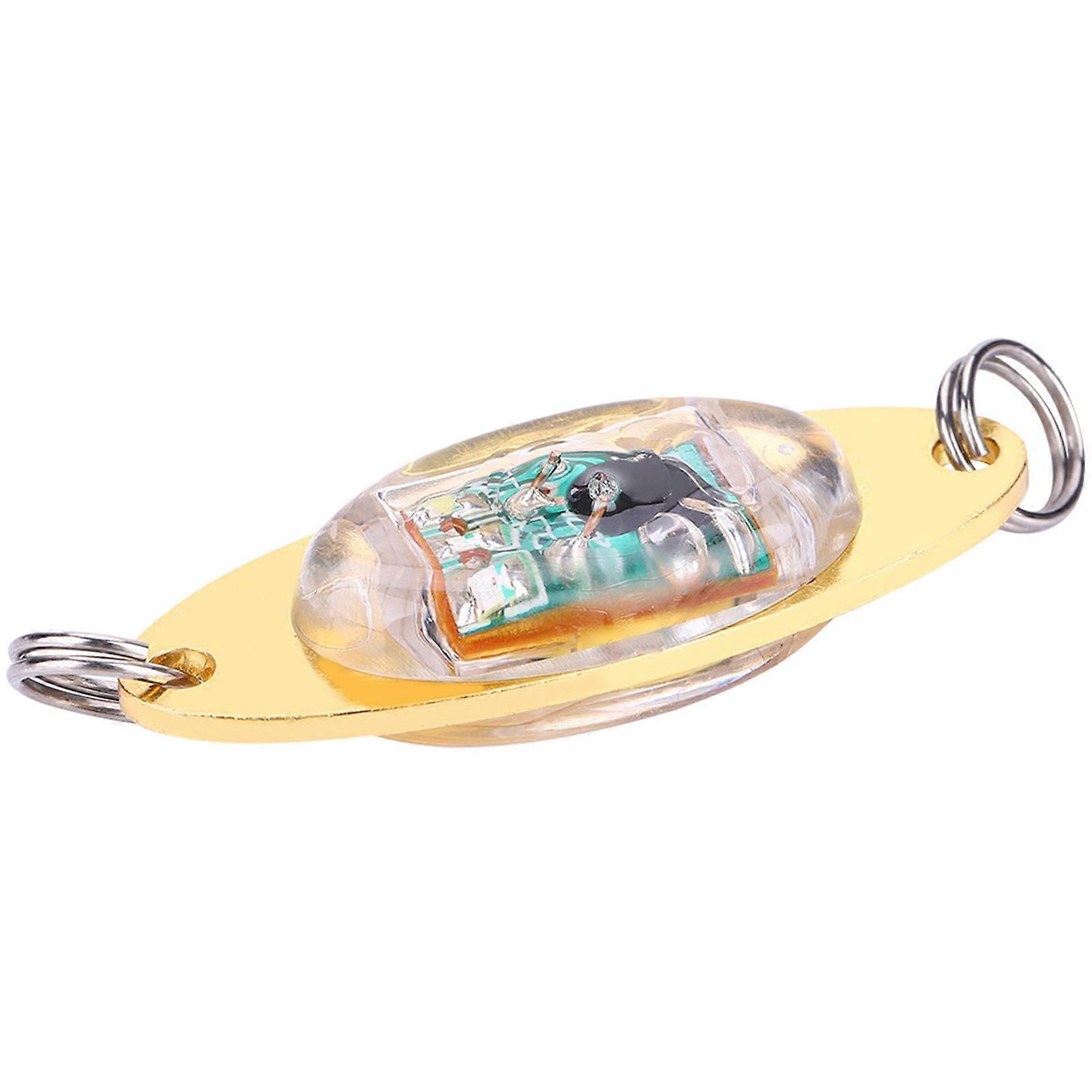 Lampe LED clignotante pour la pêche (colorée)