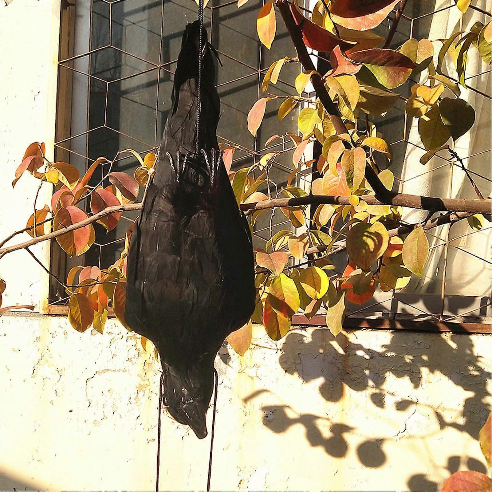 Hanging Dead Crow Bird Scarecrow, Hanging Crows
