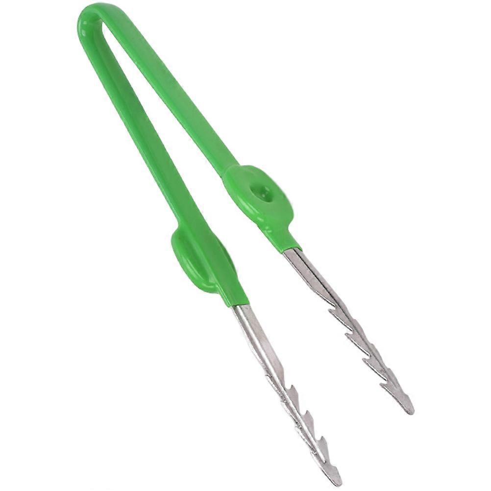 Garden Tweezer for Succulent Plants and Crafts Lightweight Stable Easy to Use for Females Green