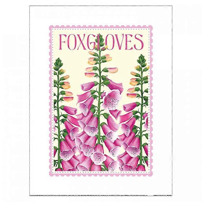 Tall Boy Prints Foxgloves Print