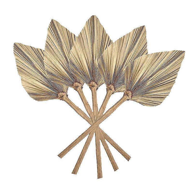 12 Pcs Natural Dried Palm Leaves Decor Boho Dried Leaf