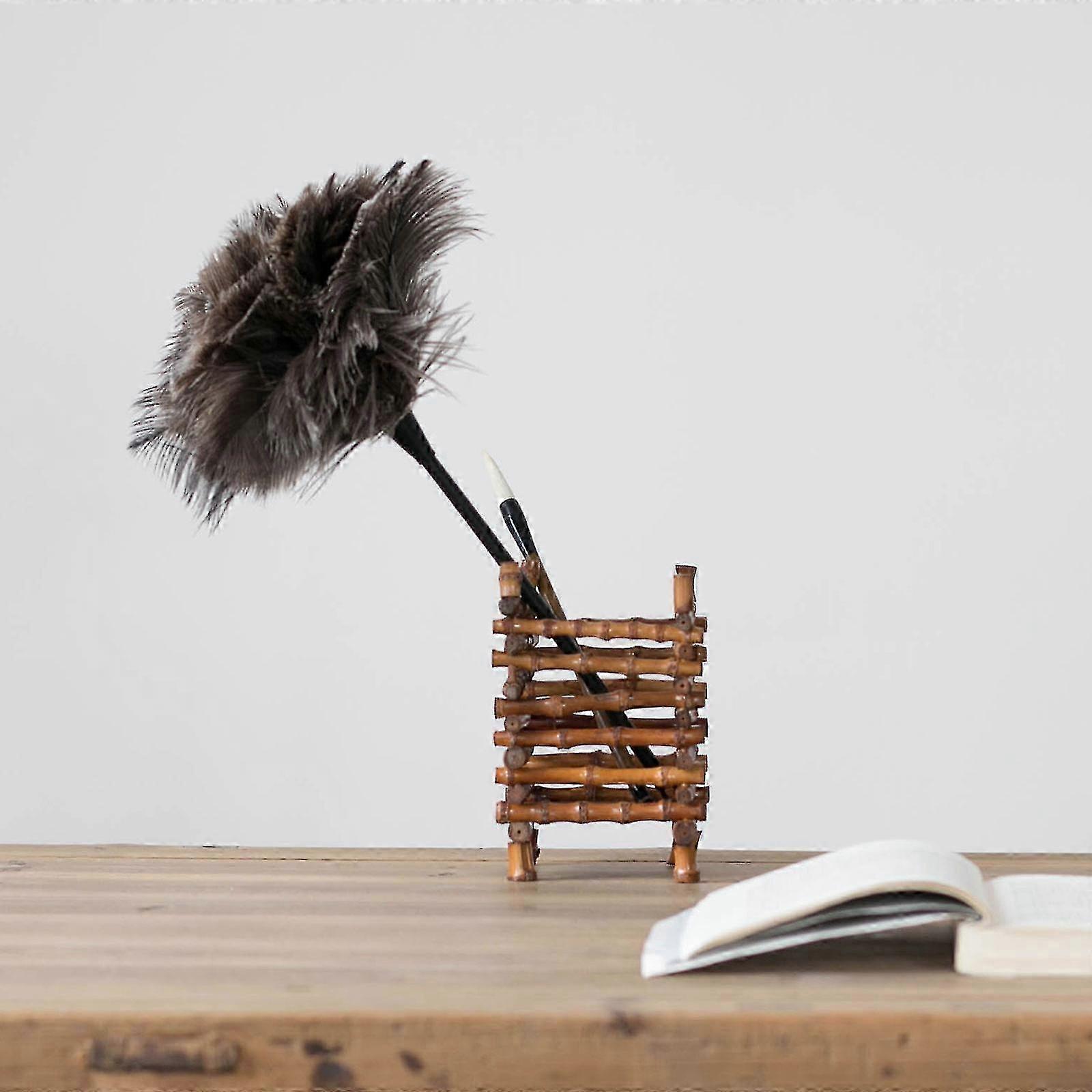 Ostrich Duster Feather Cleaning Brush with Long Handle Computer Dust Removal